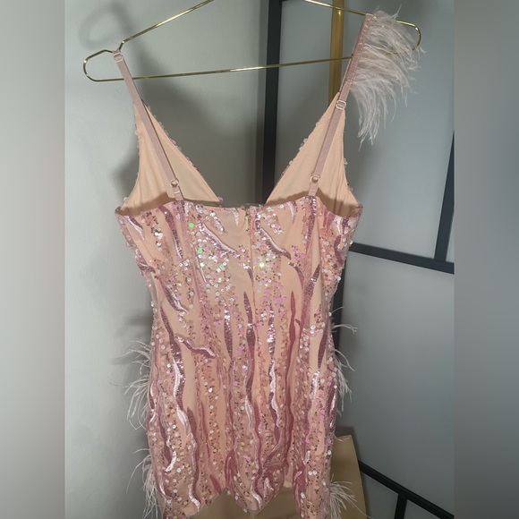 Pink Mini Dress, Feathers and Sequins - Picture 5 of 6